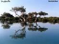 تور قشم هوایی